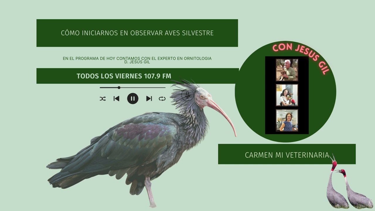 Jesús Gil y Carmen mi veterinaria hablan de ornitología y cambio climático