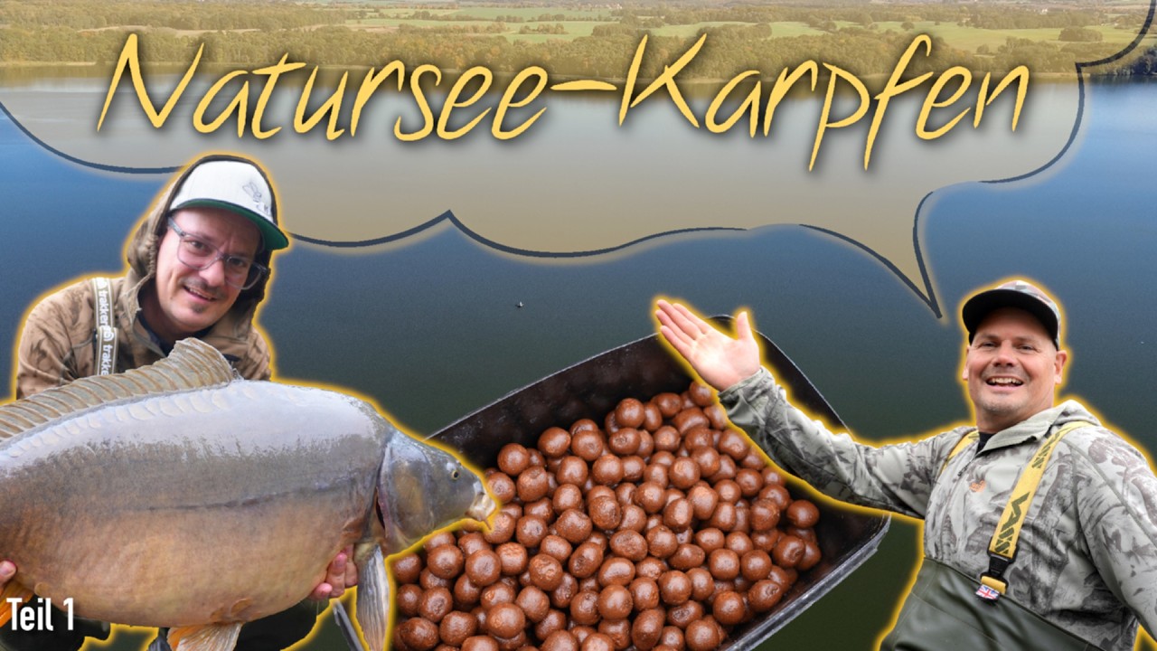 🐂 Dicke Karpfen & Brauns Millionen Villa💰am See | Karpfenangeln in Deutschland Teil 1