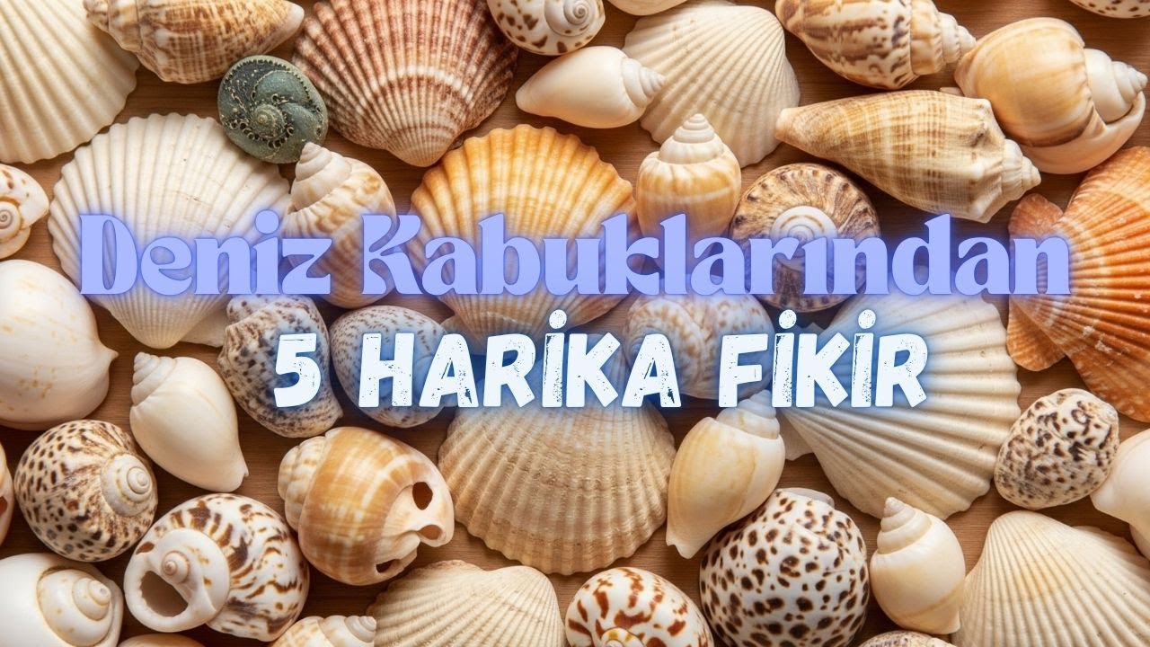 Deniz Kabuklarından 5 Kolay ve Eğlenceli Kendin Yap Fikri 🐚🦀