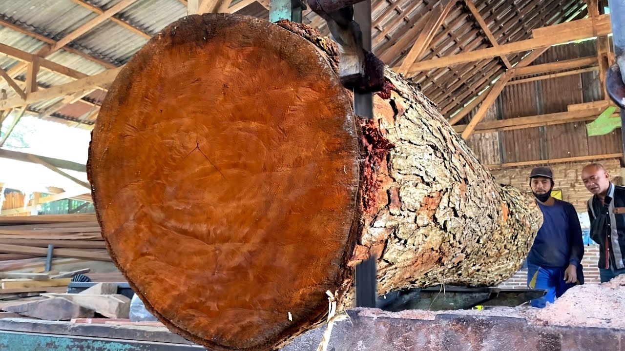 The Best Wood Sawmills for Sawing Mahogany into Precision and Quality Boards