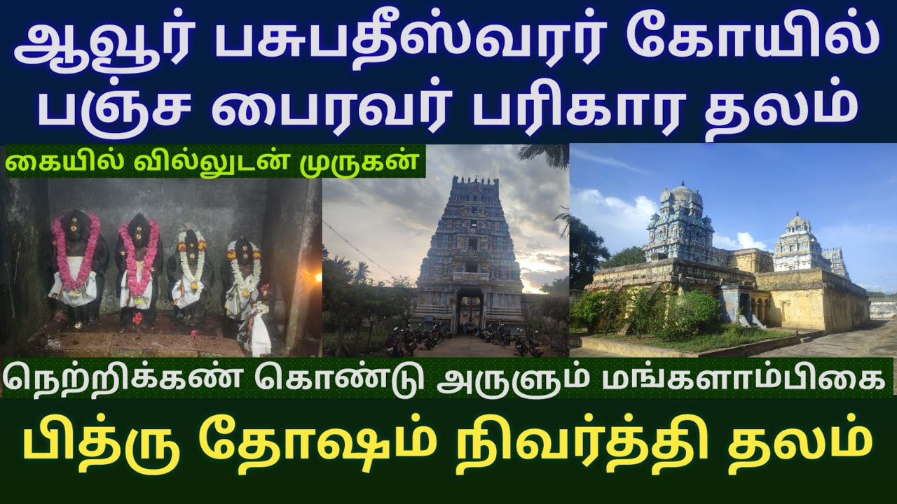 ஆவூர் பசுபதீஸ்வரர் கோயில் |பித்ரு தோஷம் நீக்கும் பஞ்ச பைரவர் | தனுசு சுப்ரமணியர் |நெற்றிக்கண் அம்மன்