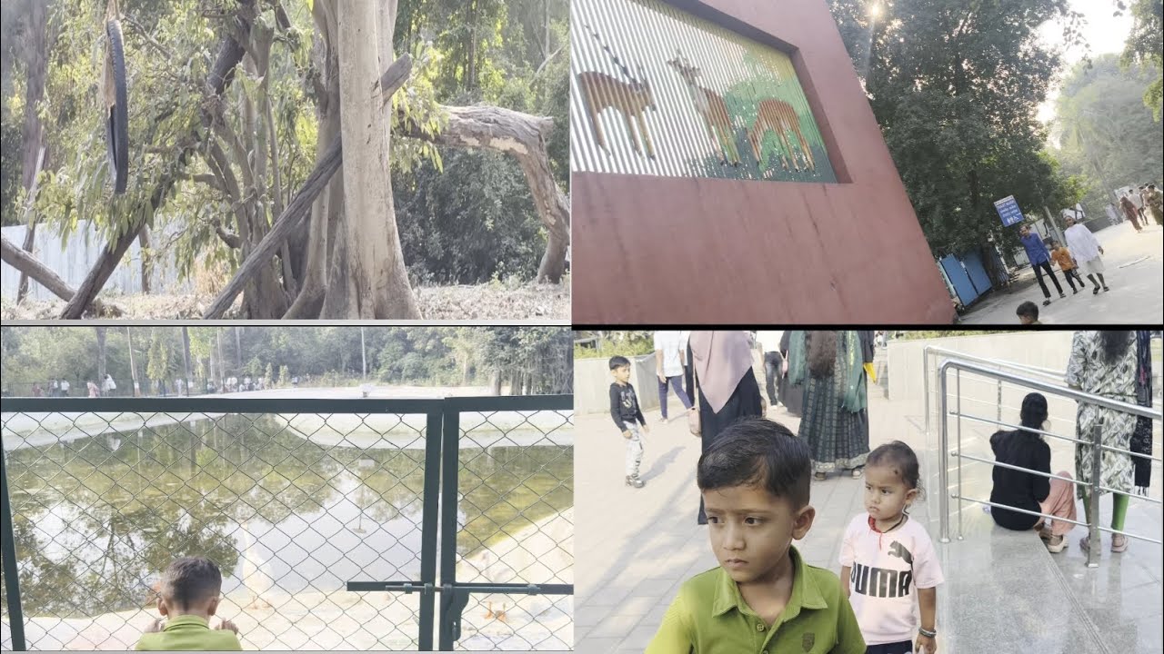 નિકુંજ ભાઈ આવ્યા પ્રાણીસંગ્રહાલય 🦁 🐒 🐦#vlog#viral#trending#zoo