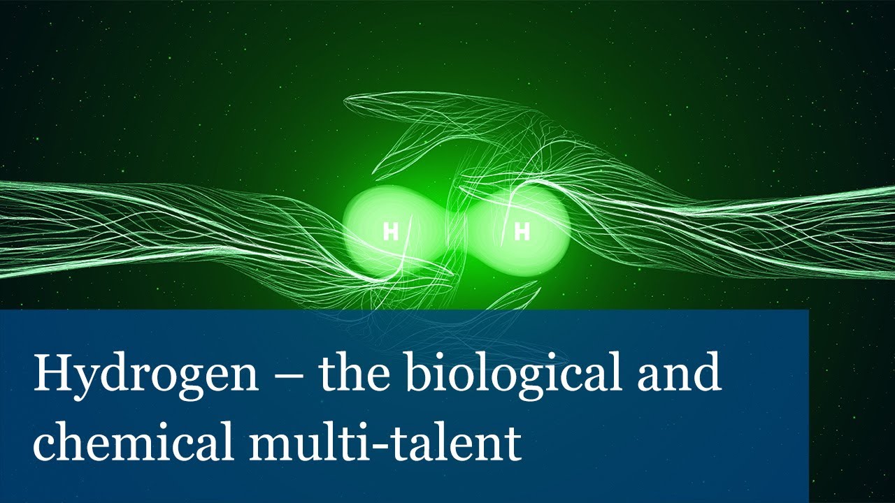 Hydrogen – the biological and chemical multi-talent