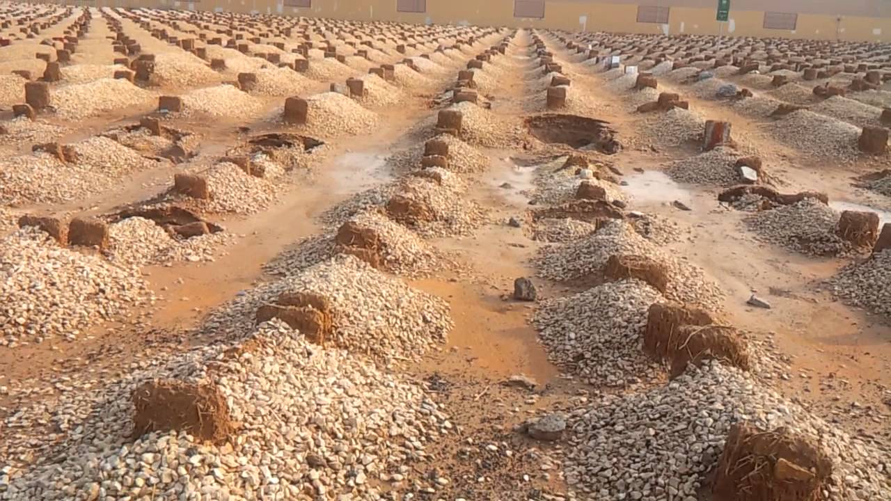 مقبرة أم الحمام والفساد 1