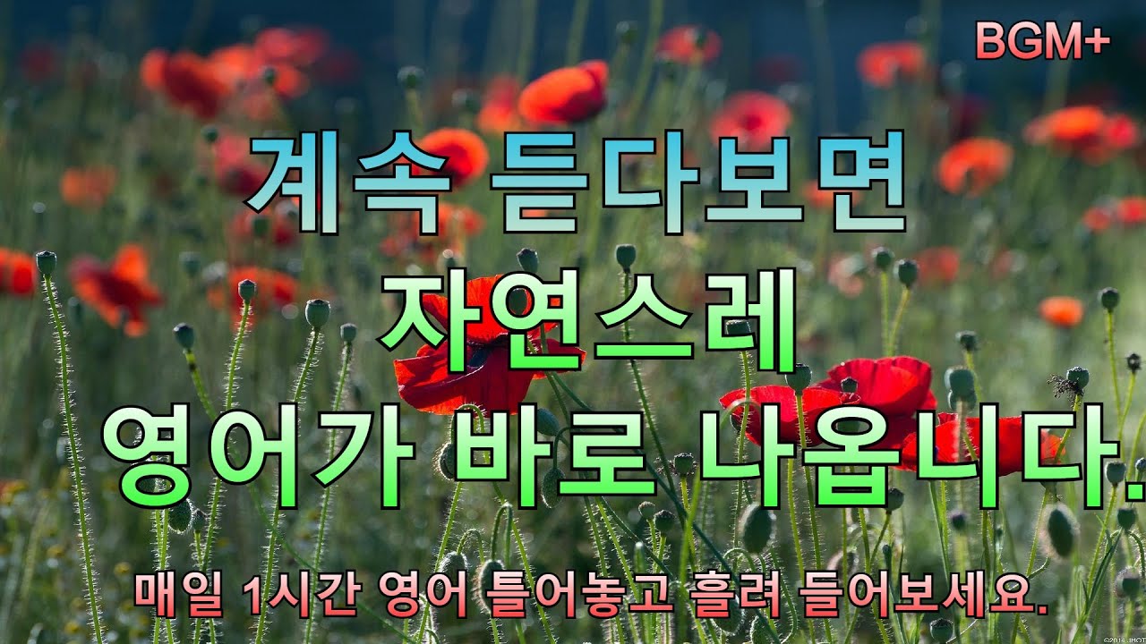 계속 듣다보면 자연스레 영어가 바로 나옵니다 | 매일 1시간 영어 흘려듣기 #56