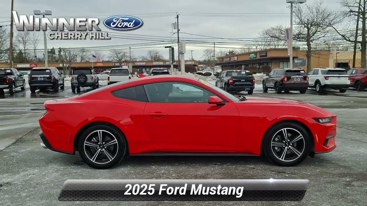 Used 2025 Ford Mustang EcoBoost Fastback, Cherry Hill, NJ C01042