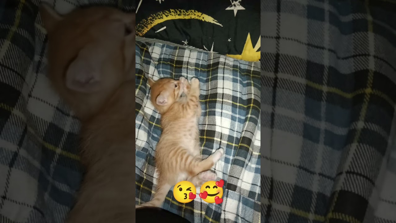 23 de noviembre de 2025