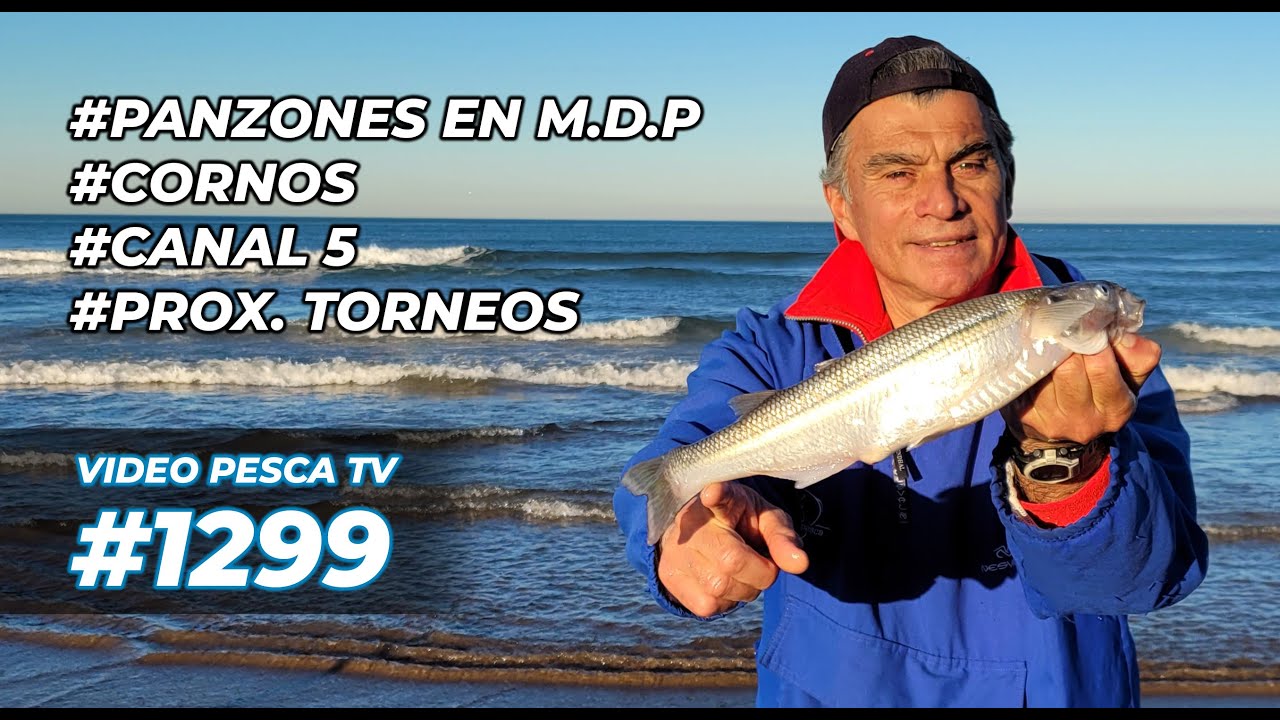 Excelente pesca en mar del Plata: PANZONES y ESCARDONES, CORNOS en San Cayetano, Torneos #Prog 1299