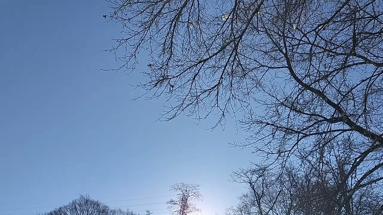 2026年2月9日