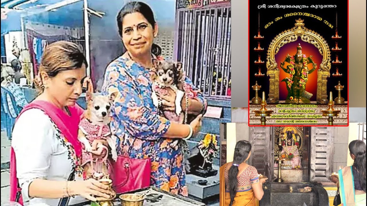 Sisters perform Shani Dosha worship at the temple to save a puppy... A resilient incident
