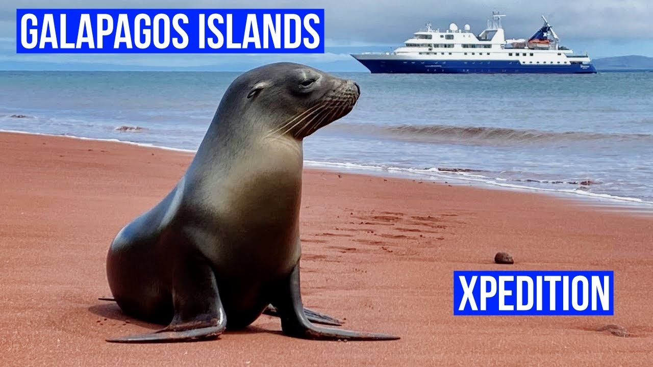 Galapagos Islands Expedition Cruise on Celebrity Xpedition