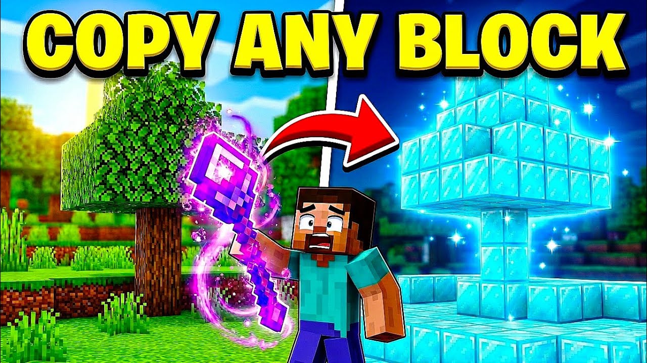 Minecraft But I Can Copy ANY Block!!