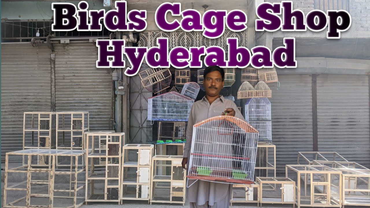 Cheap Price Birds Cage in Hyderabad | Bird Cage Shop Hyderabad | Birds Cage price 2022