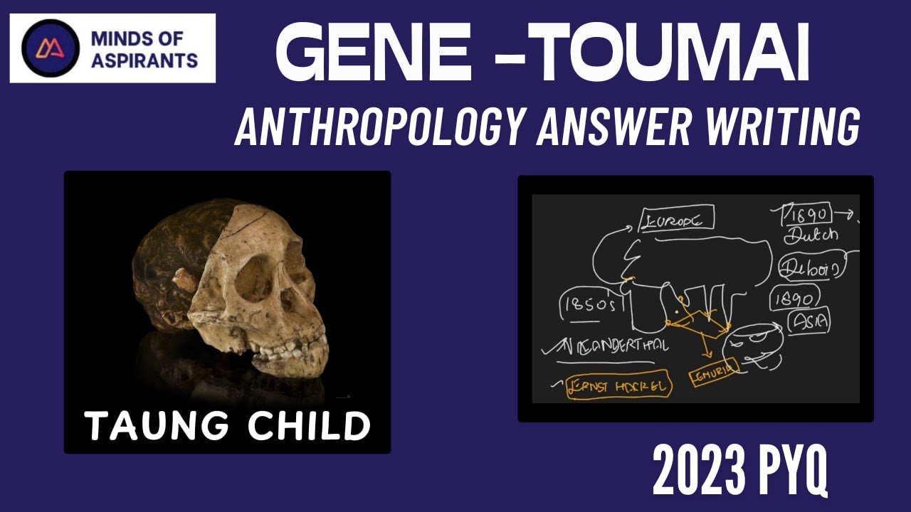 &ldquo;Taung Child: The Fossil That Changed Human History&rdquo;|MindsOfAspirants