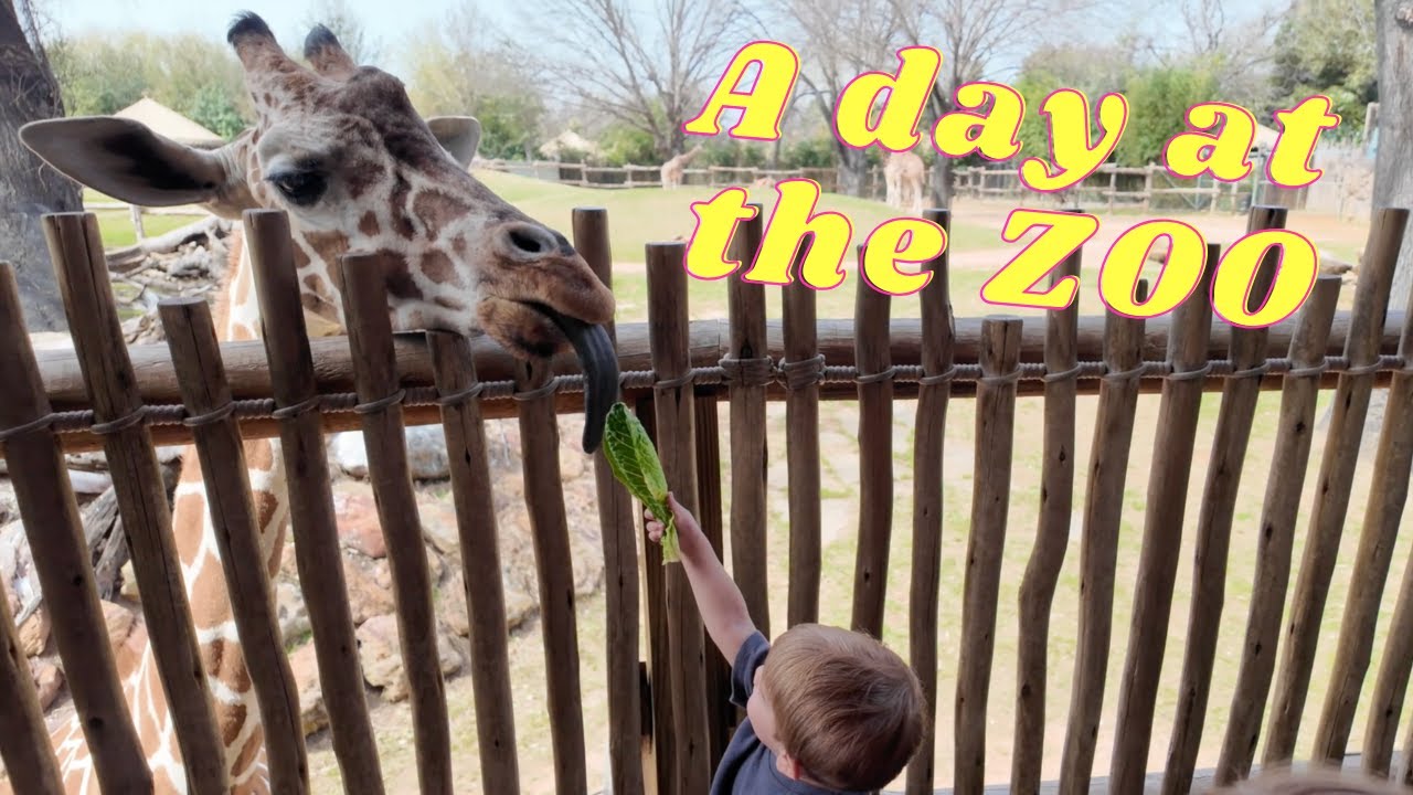 A DAY AT THE ZOO