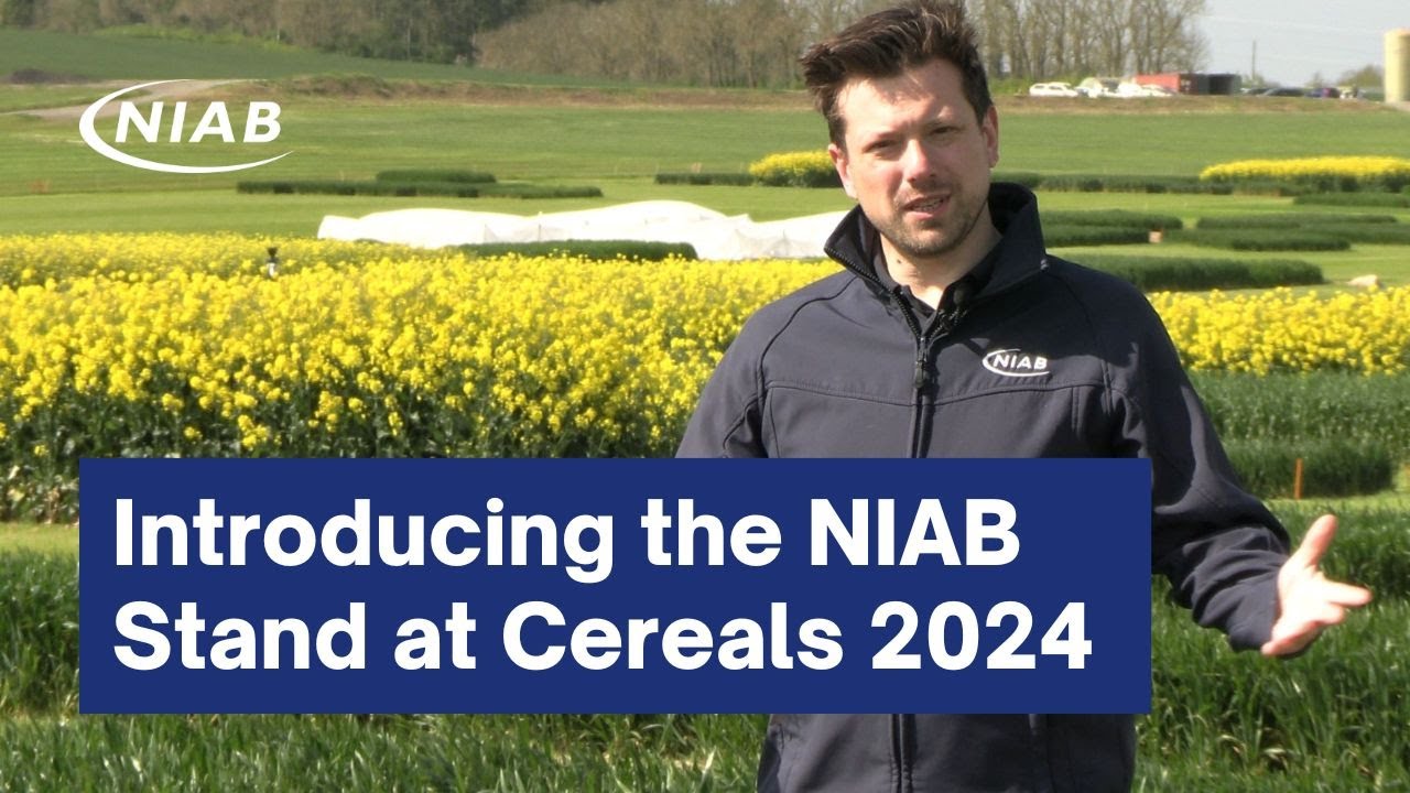 Introducing the NIAB stand at Cereals 2024