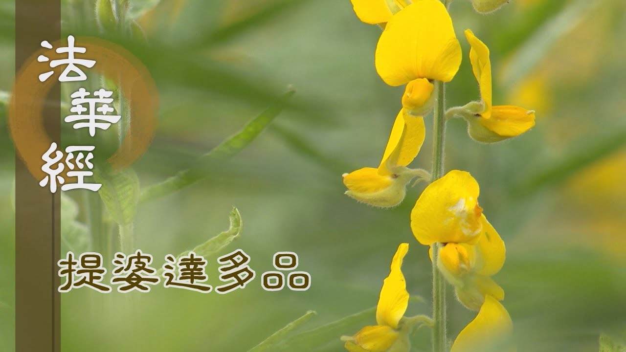 【靜思妙蓮華】法華經提婆達多品 - 三智具足 因行圓滿 - 20230123 第1334集