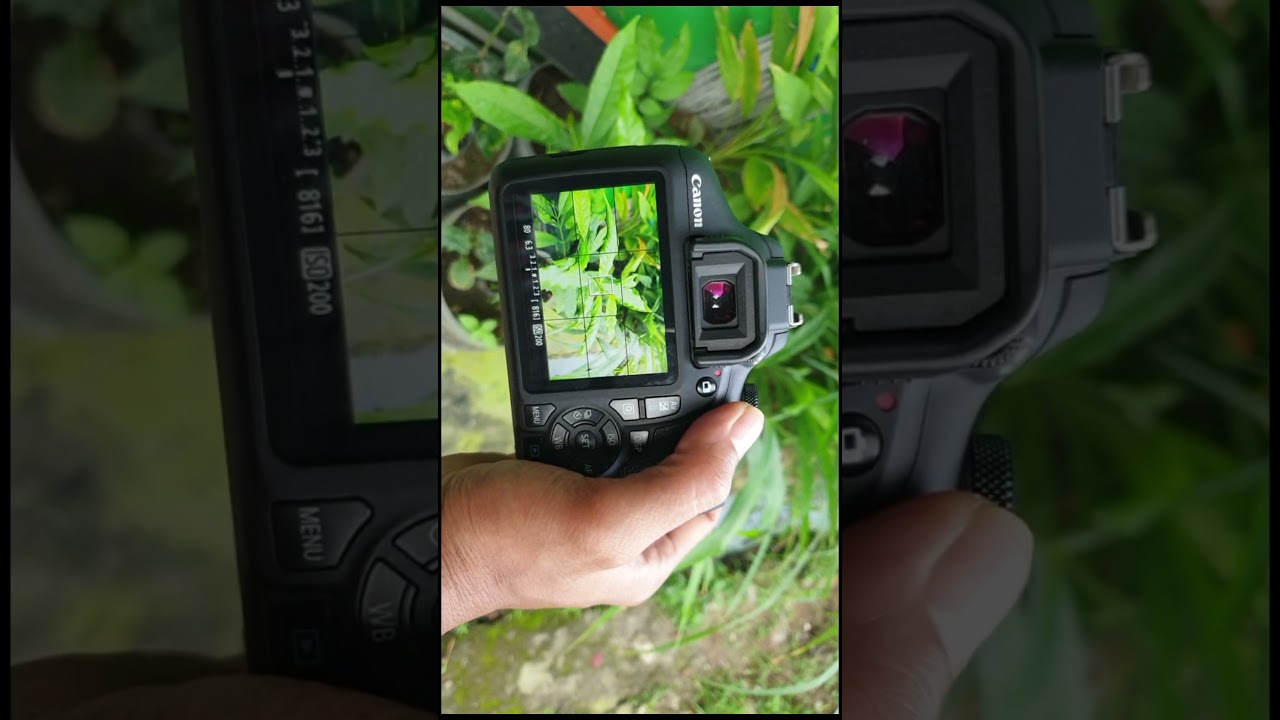 Tested Canon Eos 1500D #photography #camera #digitalcamera #canon #nikon #sony #fujifilm #olympus