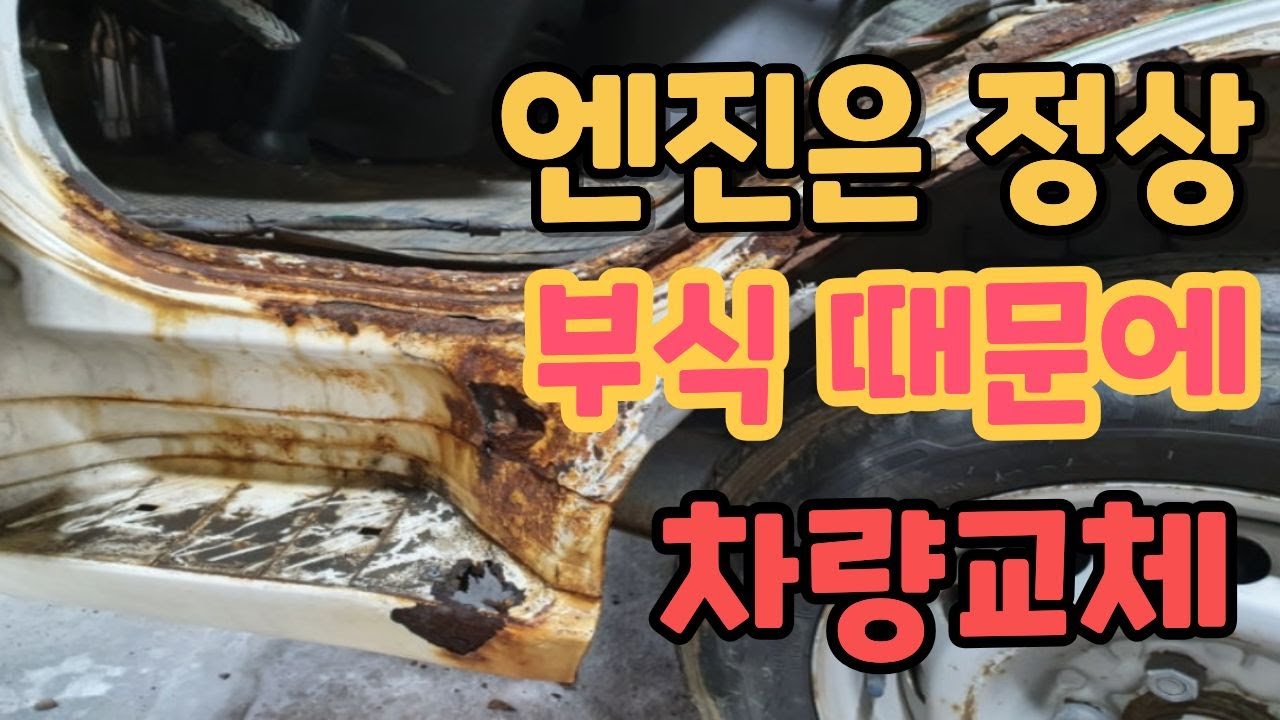 🚚포터 언더코팅 아직 안 했다면 꼭 보세요｜MS폴리머로 하체 수명 지키는 방법