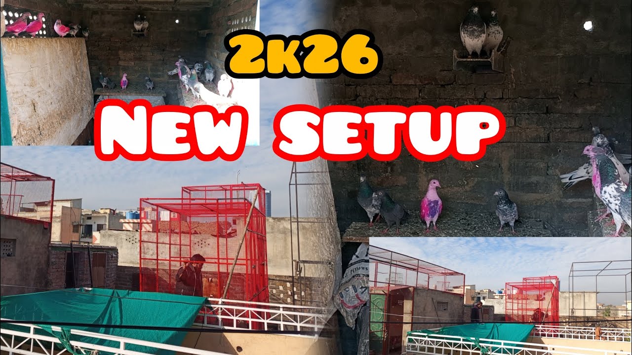 2026 ka new setup /umair Butt from Adra 