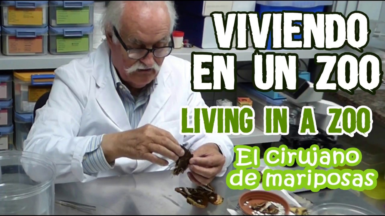 El cirujano de mariposas - Viviendo en un Zoo -Living in a Zoo
