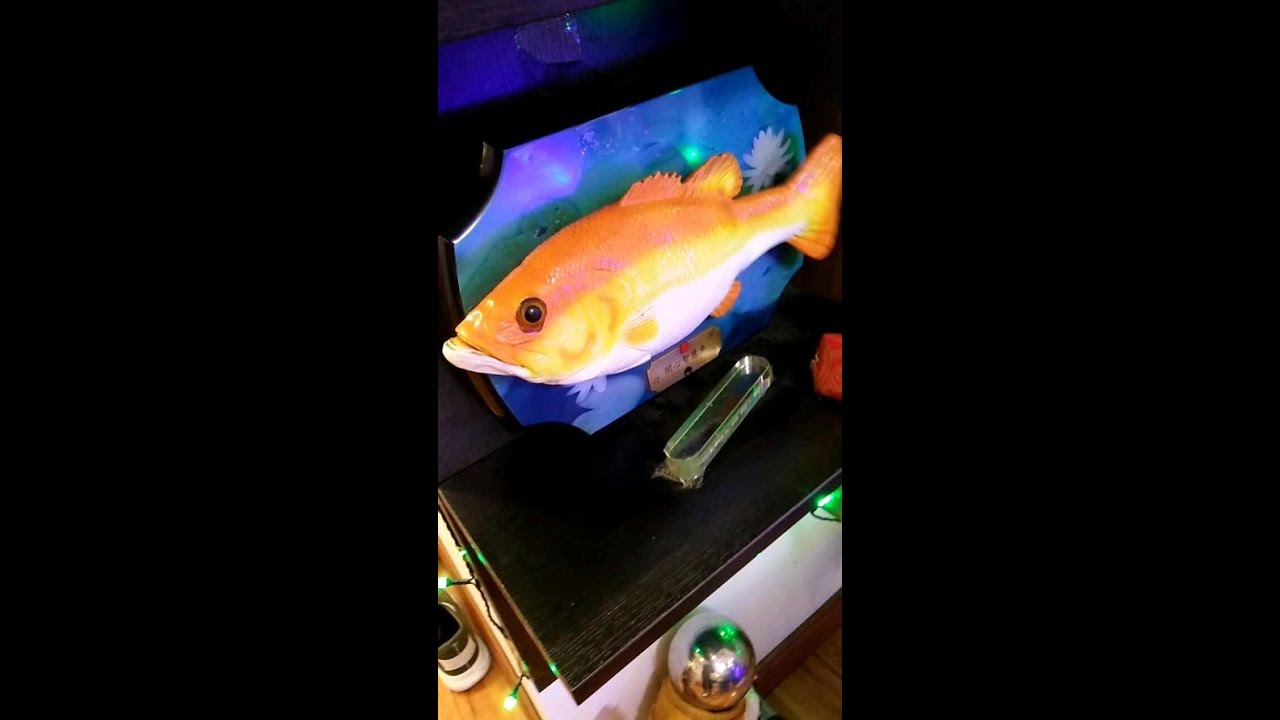 VERY RARE SINGING FISH PHOTO COMPILATION (100+ UNSEEN PHOTOS)