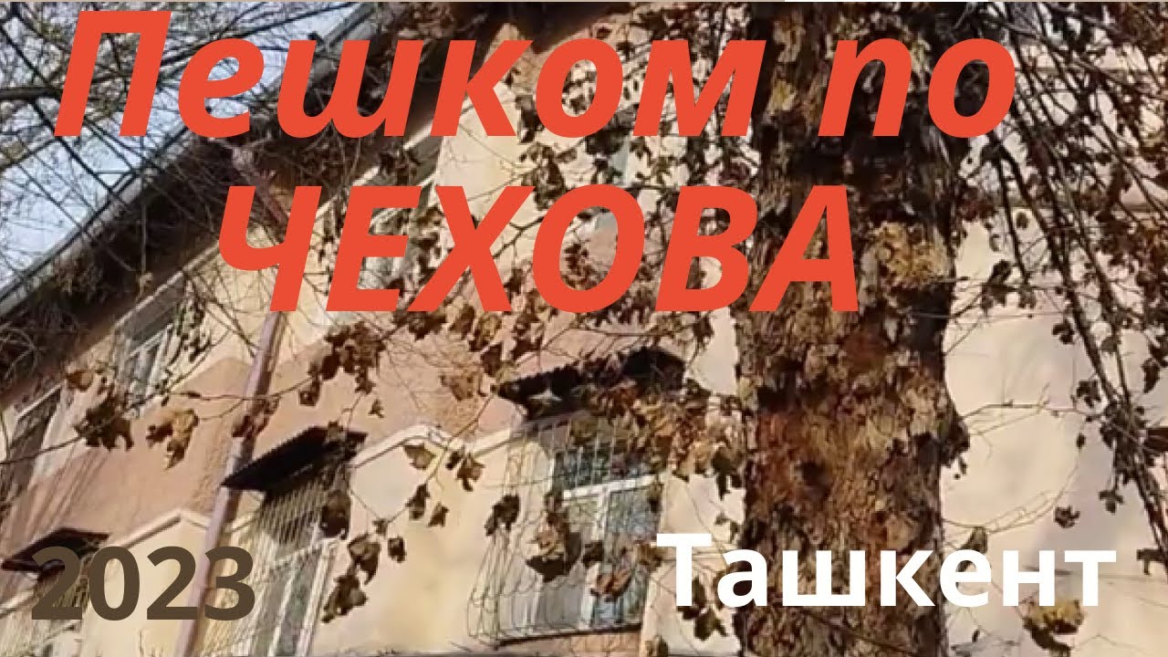 Пешком по улице Чехова (Фидокор) в Ташкенте зимой 2023 года. С историей и знаменитыми домами