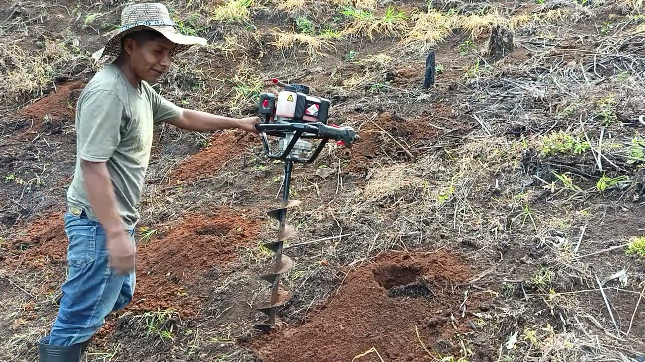 Una técnica como sembrar café @sebastianchandillo6408 