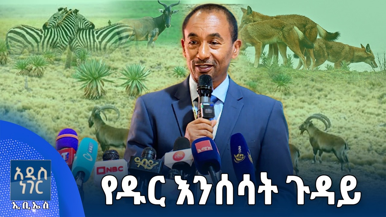 የዱር እንሰሳት ጉዳይ፣ መጋቢት 03, 2018 What's New Mar 12, 2026