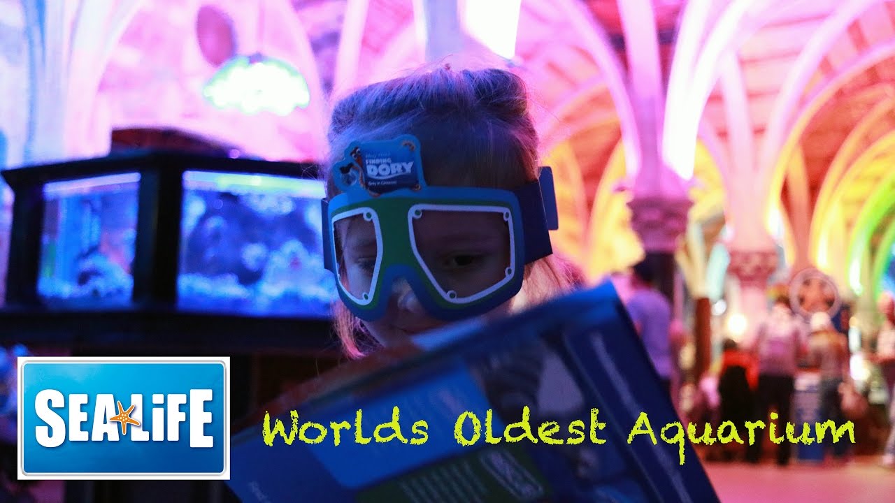 BRIGHTON SEALIFE CENTRE WITH GLASS BOTTOM BOAT RIDE