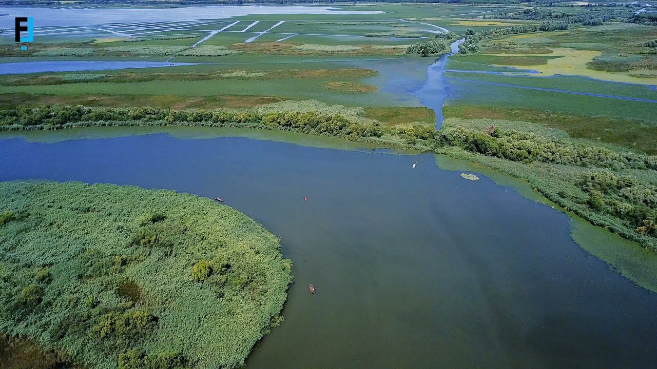 Tisza-tó , Nagy-morotva 2021 Augusztus