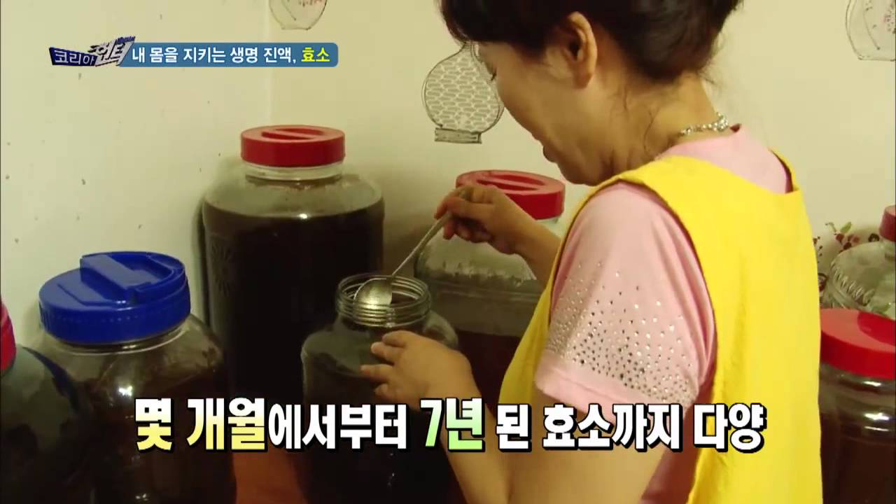 효소 전문가가 전하는 효소 만들기 비법