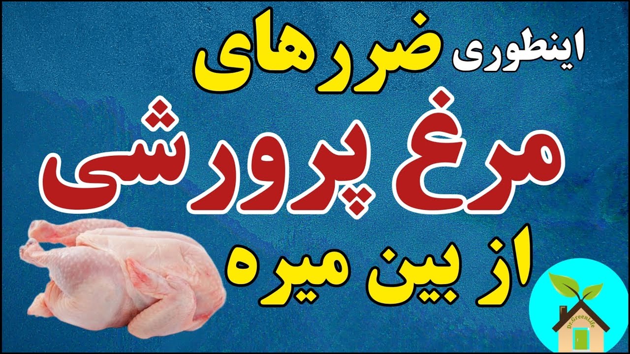 با این روشها ضررهای مرغ پرورشی از بین میره | راهکاری عملی برای کاهش ضررهای مرغ پرورشی و صنعتی