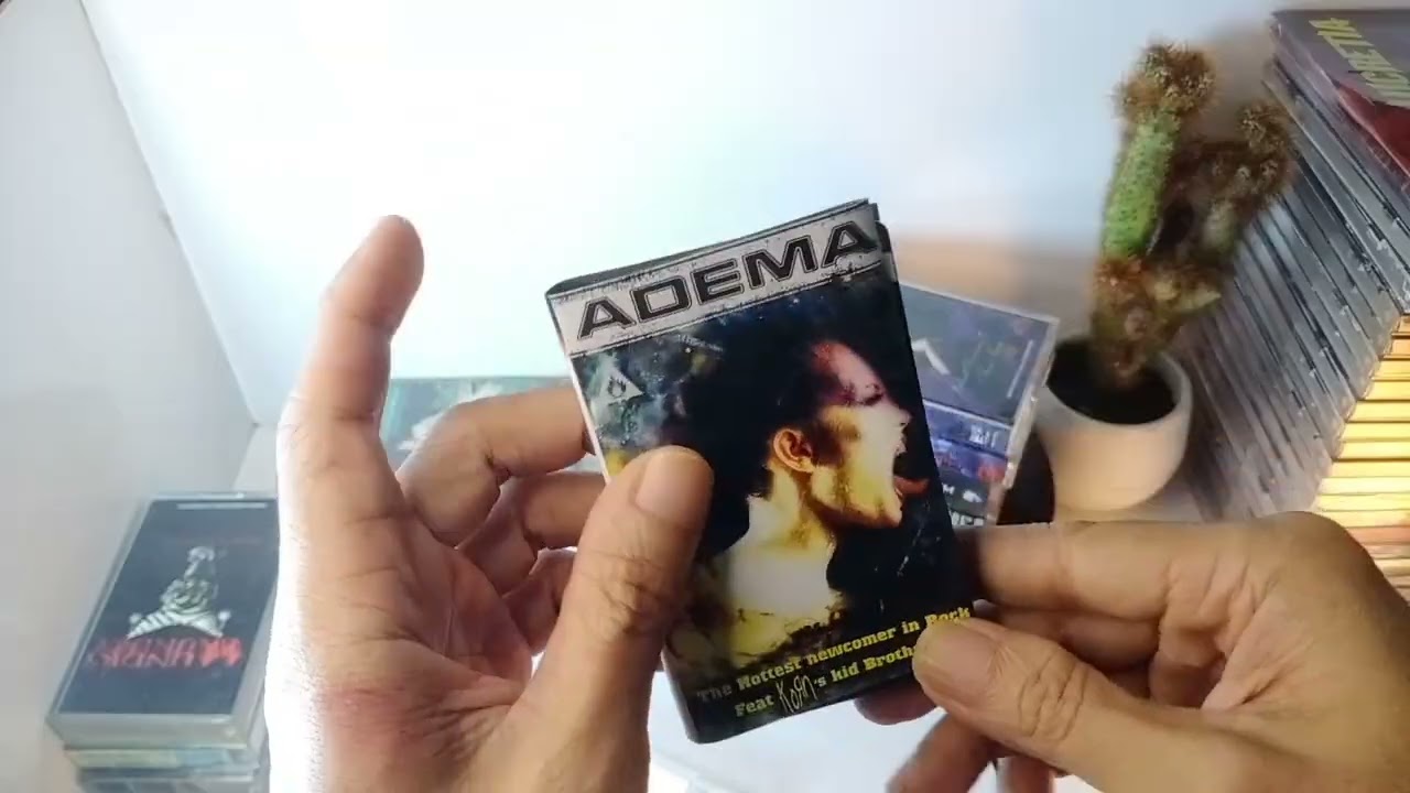 Cassette review part 3 #cassette #physicalmedia #physicalmediacollection 