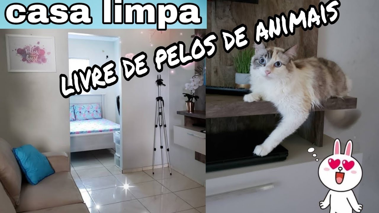 LIVRE-SE de PELOS de GATOS soltos pela casa confiram o que eu faço👏por casa limpa