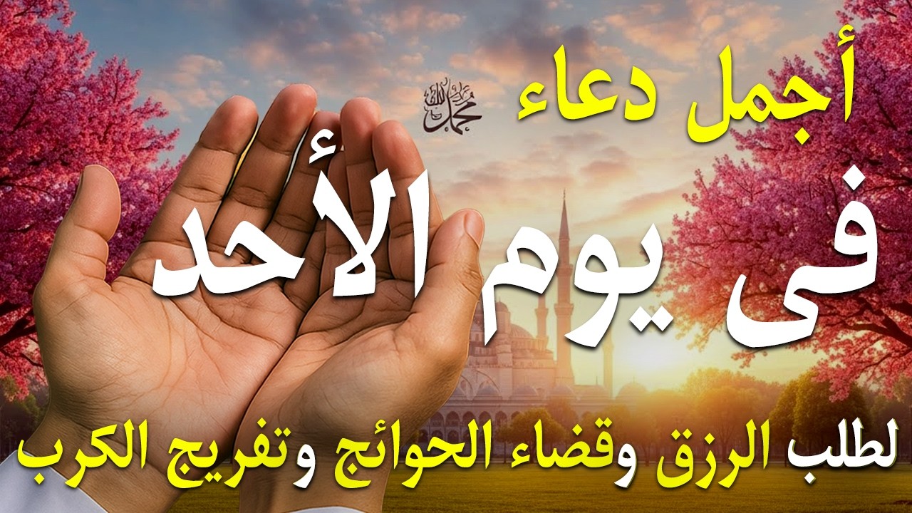 دعاء فى يوم الأحد المستجاب دعاء يوم 20 من شهر شعبان للرزق والشفاء العاجل وقضاء الحوائج 🤲(4k)