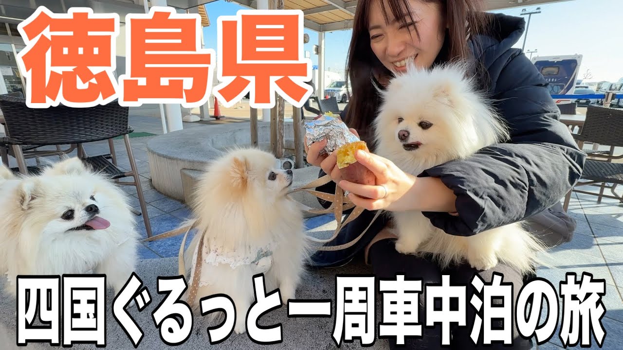 【四国一周旅】キャンピングカーで四国にある数々の観光地を旅してきました