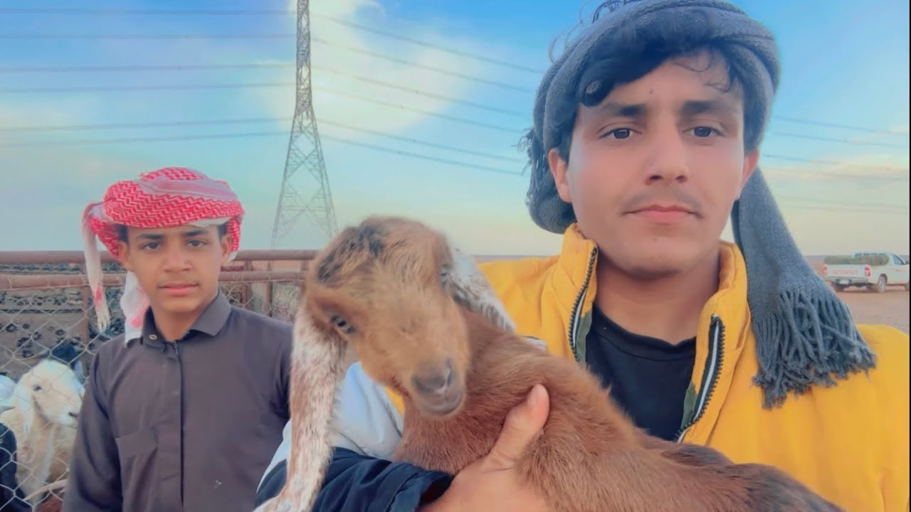 رحلتنا للغنم والنياق بالمطار والأجواء الحلوة🥰❤️🐪🐑