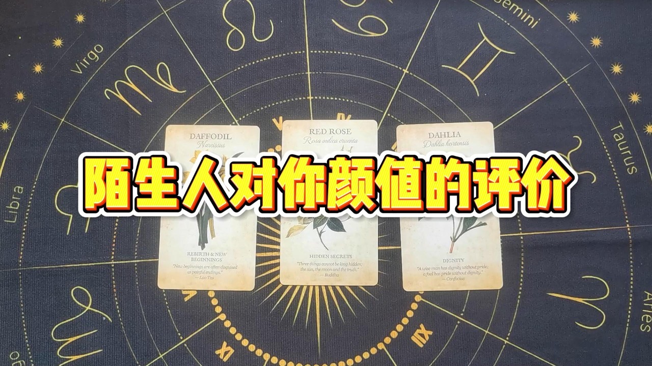 【塔羅牌占卜】陌生人对你颜值的评价