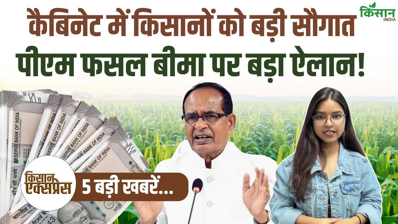 PM Fasal Bima Yojana को लेकर सरकार ने किया बड़ा ऐलान, Cabinet में लिया बड़ा फैसला! Top 5 Agri News