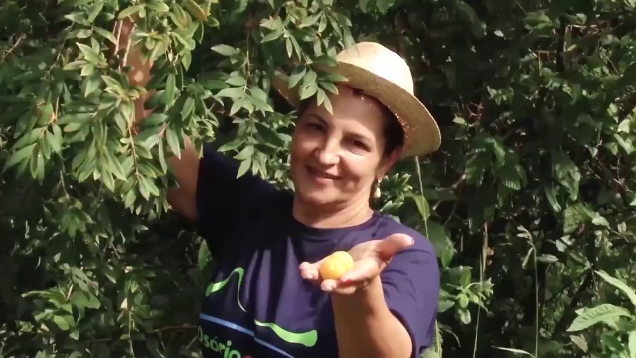 NOSSO AGRO - Turismo Rural é alternativa de renda para produtores no RS