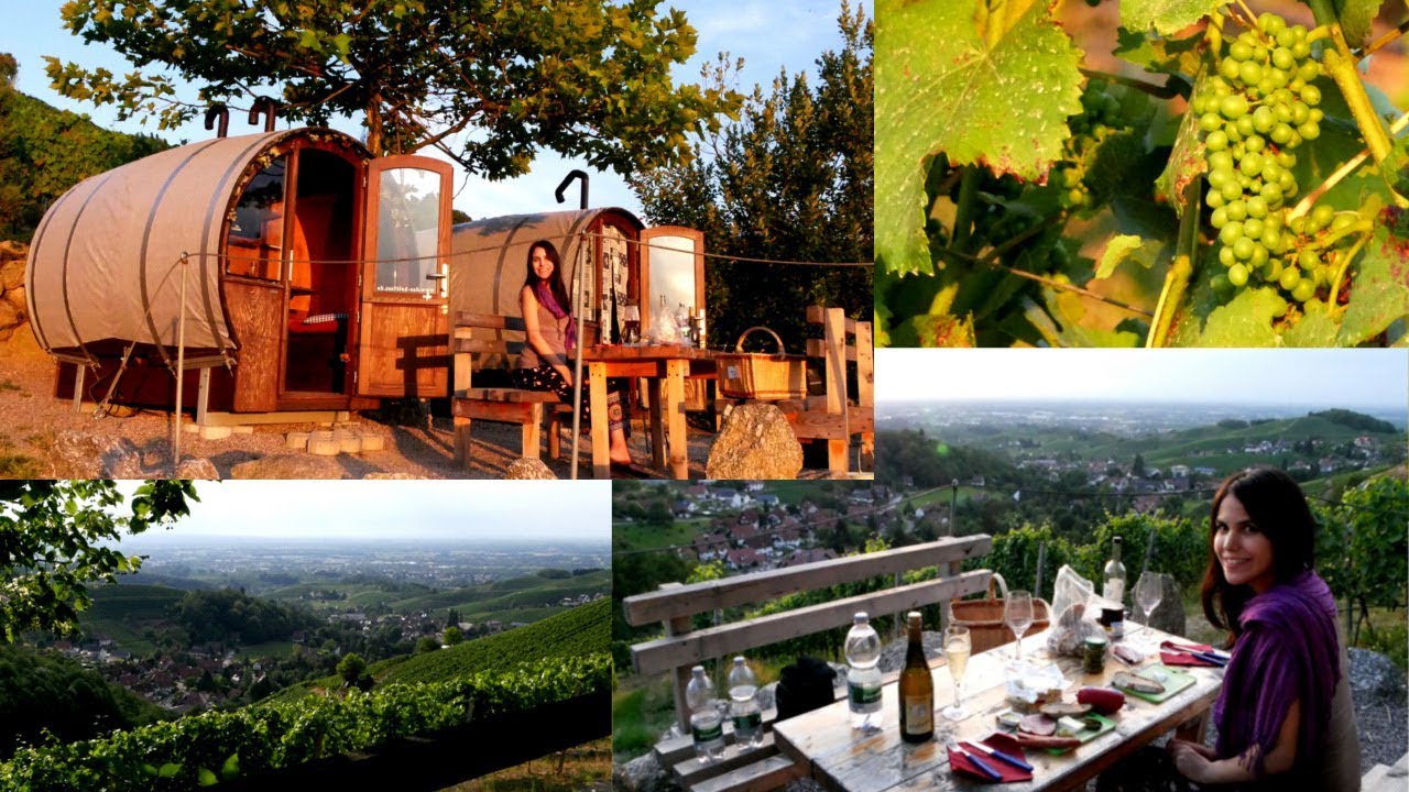 Visitando un viñedo en alemania