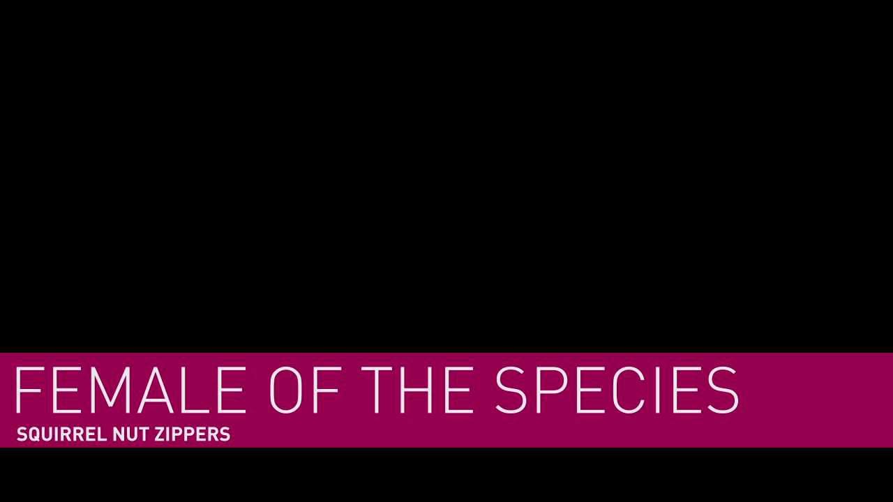 female of the species - squirrel nut zippers