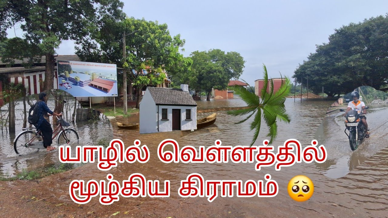 🚨👉யாழில் வெள்ளத்தில் மூழ்கிய கிராமங்கள் 🥺💔