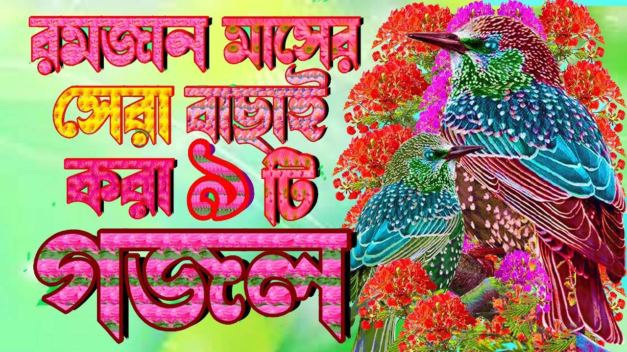 রমজান মাসের কলিজা শীতল করা ৯টি গজল |Ramadan New Gojol |Ruja Gojol |Ramzan Gazal