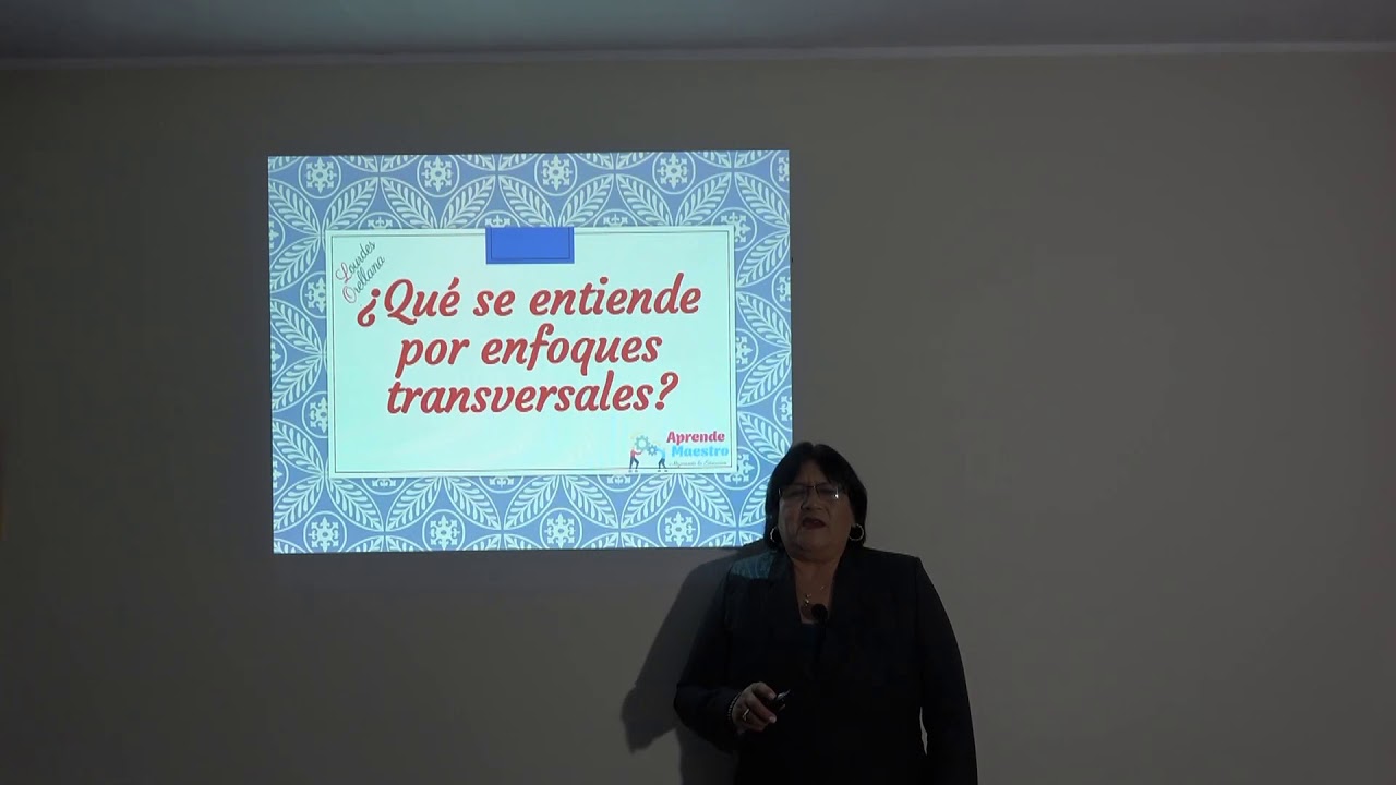 Caracter&iacute;sticas de los enfoques transversales considerados en el CNEB