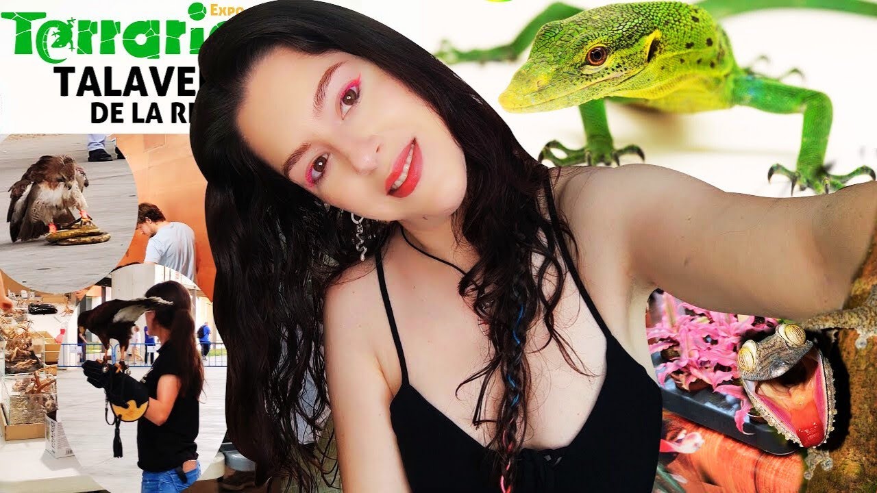 Gran acogida de Talavera a Expoterraria😱. ¿Nos ha gustado? 🦎