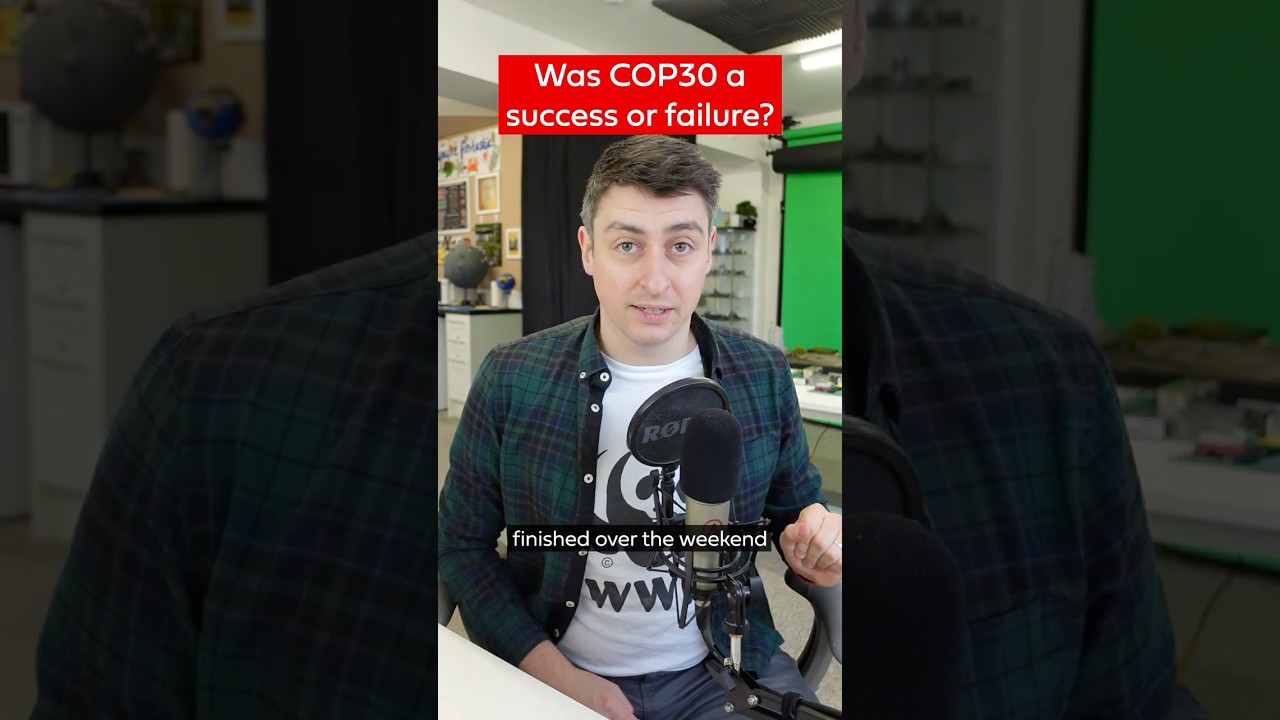 Был ли COP30 успехом или провалом?