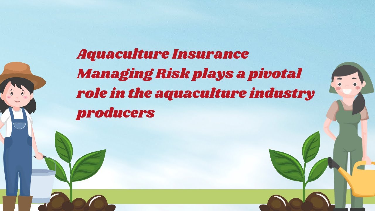 Aquaculture Insurance Managing Risk plays a pivotal role in the aquaculture industry producers