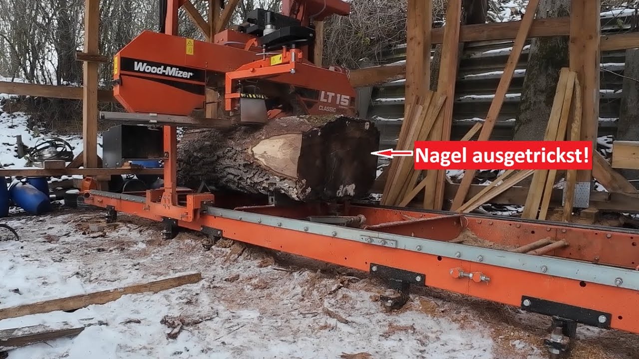 Spektakuläre Aktion am Sägewerk – Top Walnuss-Stamm oder doch teures Brennholz?